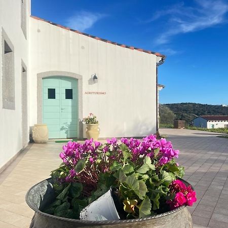 Tenute Testoni Agriturismo E B&B Bassacutena Exterior photo